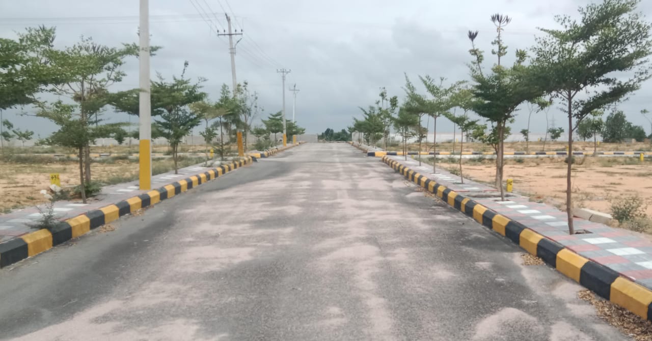 Plot For Resale in Muthangi Hyderabad  7323472