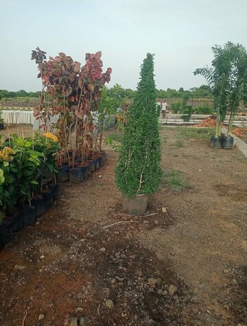  Plot – Garden View at RRR Green Fields, Choutuppal - for Sale