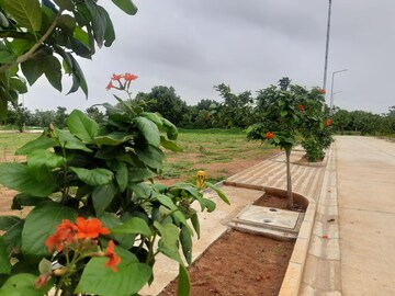  Plot – Garden View at Ace Arcadia, Maheshwaram - for Sale