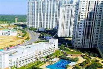 4 BHK Apartment For Rent in DLF Park Place - Park Towers Sector 54 Gurgaon  7326004