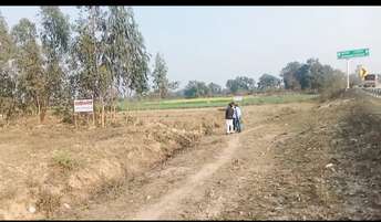 Commercial Land 1000 Acre For Resale in Sultanpur Road Lucknow  7326373