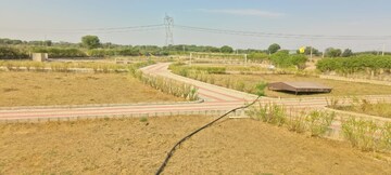 Plot Area in  Plot at Tonk Road – for Sale