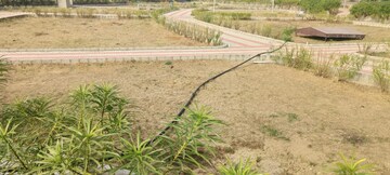 Plot Area in  Plot at Tonk Road – for Sale