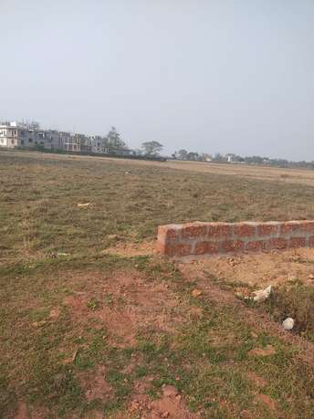 Plot For Resale in Phulanakhara Bhubaneswar  7326921