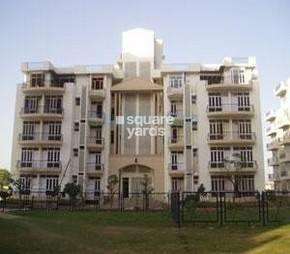 3 BHK Builder Floor For Rent in Ardee City The Residency Sector 52 Gurgaon  7327042