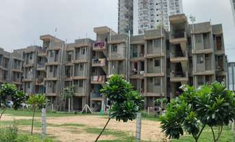 1 BHK Apartment For Rent in Noida Ext Sector 10 Greater Noida  7327580