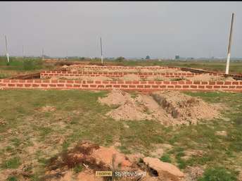 Plot For Resale in Patrapada Bhubaneswar  7327571