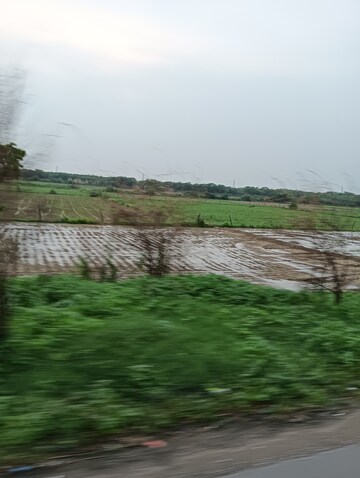 Plot Area in  Plot at Sector 107 – for Sale