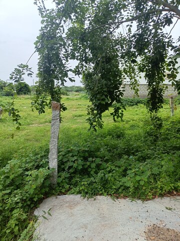  Plot – Garden View at Nadergul - for Sale