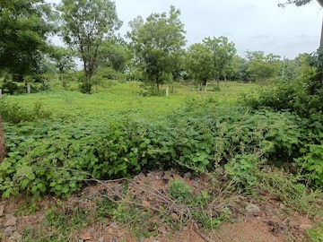 Plot Area in  Plot at Nadergul – for Sale