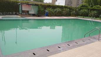 2 BHK Apartment For Rent in Eros Wembley Estat Sector 50 Gurgaon  7328237