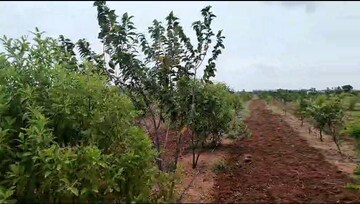  Plot For Sale in Sun City