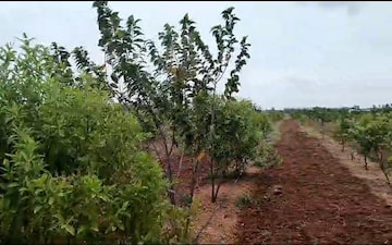 Plot For Sale in Sun City