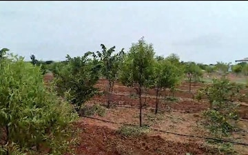 Plot For Sale in Tellapur