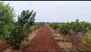  Plot For Sale in Nanakramguda