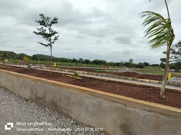 Plot Area in  Plot at Budhera – for Sale