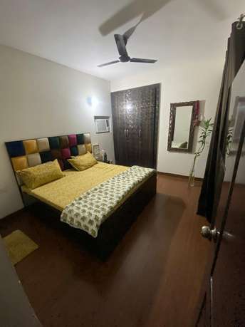 2 BHK Apartment For Rent in Aditya Urban Casa Sector 78 Noida  7329480