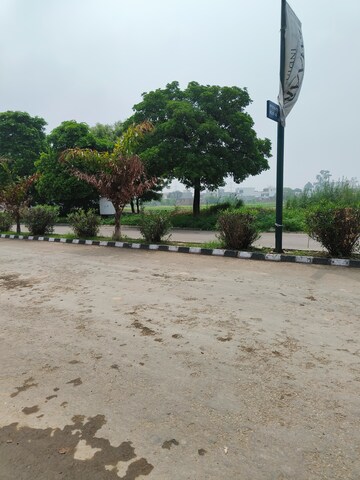 Plot Area in  Plot at Sector 105 – for Sale