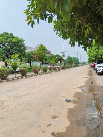  Plot – Exterior View View at Sector 105 - for Sale