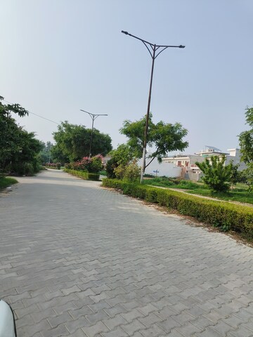 Plot Area in  Plot at Sector 116 – for Sale