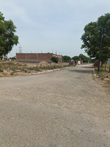 Plot Area in  Plot at Sector 110 – for Sale