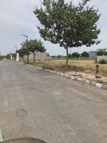 Plot Area in  Plot at Sector 110 – for Sale