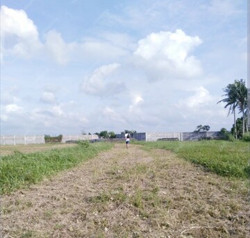 Plot Area in  Plot at Shamshabad – for Sale