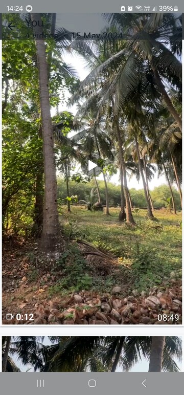  Plot For Sale in Siolim