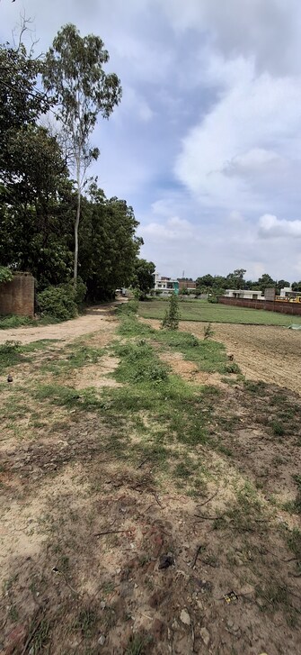 Plot For Resale in Swastik Amaravati Ramnagar Varanasi  7330968