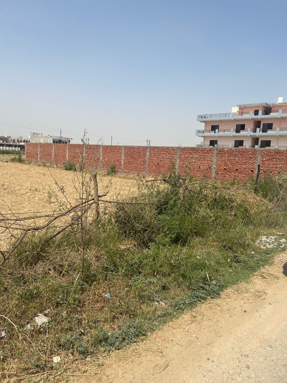 Plot For Resale in Noida Ext Knowledge Park V Greater Noida  7331057