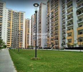 2 BHK Apartment For Rent in Panchsheel Greens Noida Ext Sector 16 Greater Noida  7331074