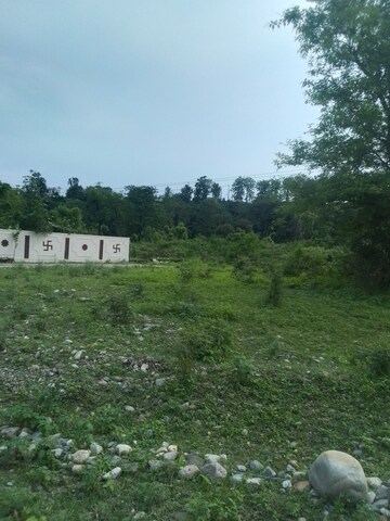 Plot Area in  Plot at Raipur Road – for Sale