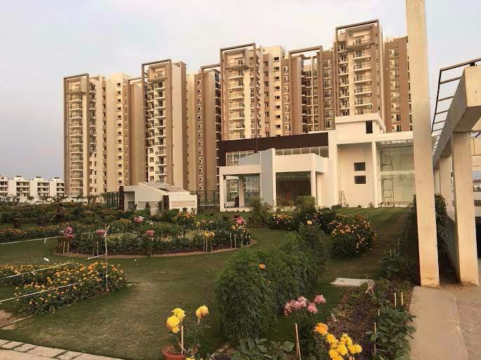 3 BHK Apartment For Rent in Motia Citi Royal Business Park Ambala Highway Zirakpur  7331532