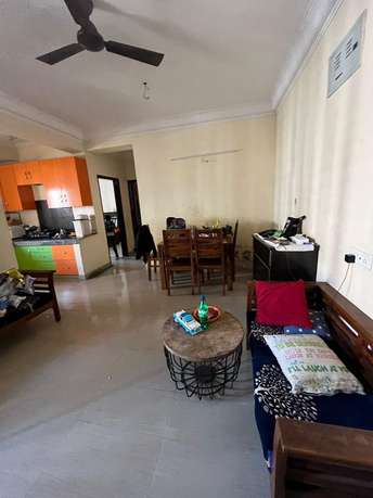 3 BHK Apartment For Rent in Paramount Floraville Sector 137 Noida  7332030