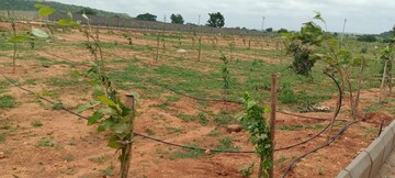 Plot Area in  Plot at Shadnagar – for Sale