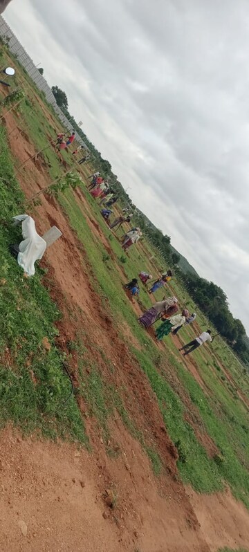Plot Area in  Plot at Shadnagar – for Sale