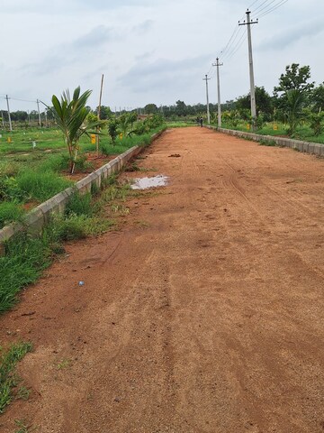 Plot Area in  Plot at Lb Nagar – for Sale