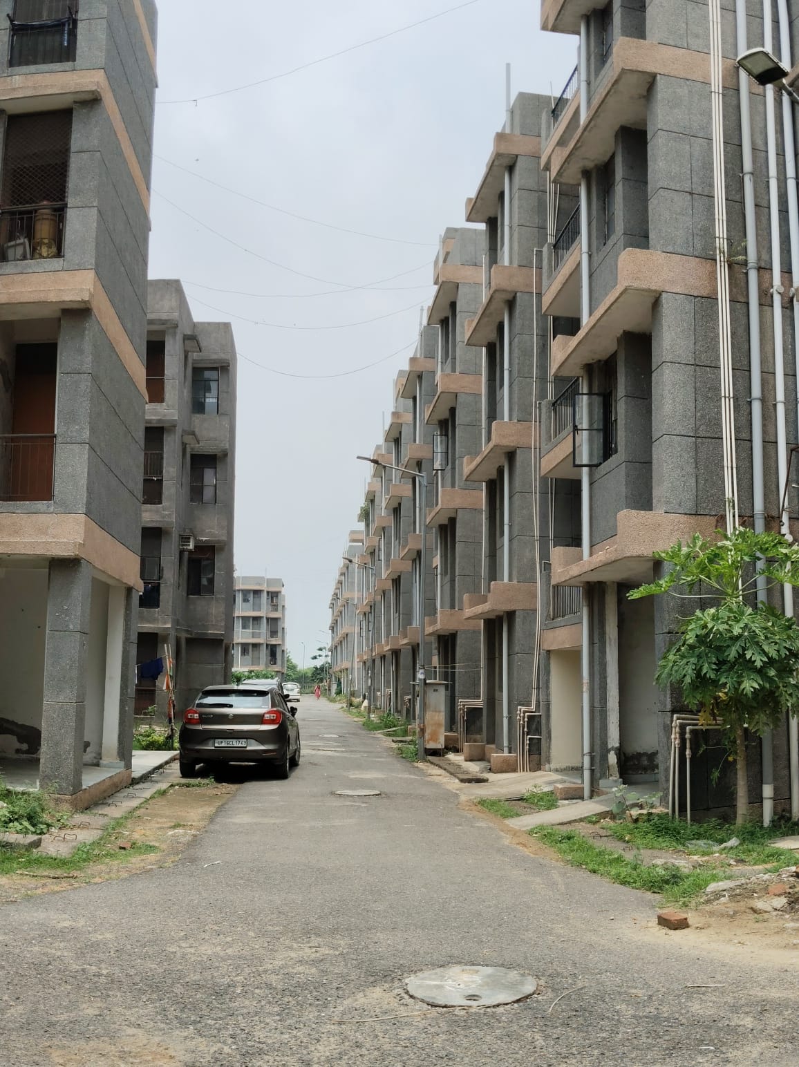 1 BHK Apartment For Resale in Noida Ext Sector 10 Greater Noida  7332813