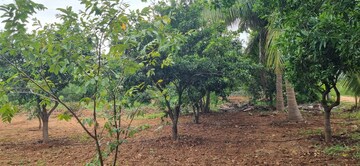  Plot – Exterior View View at Bibinagar - for Sale