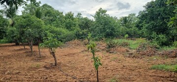  Plot – Exterior View View at Bibinagar - for Sale