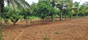  Plot – Exterior View View at Bibinagar - for Sale