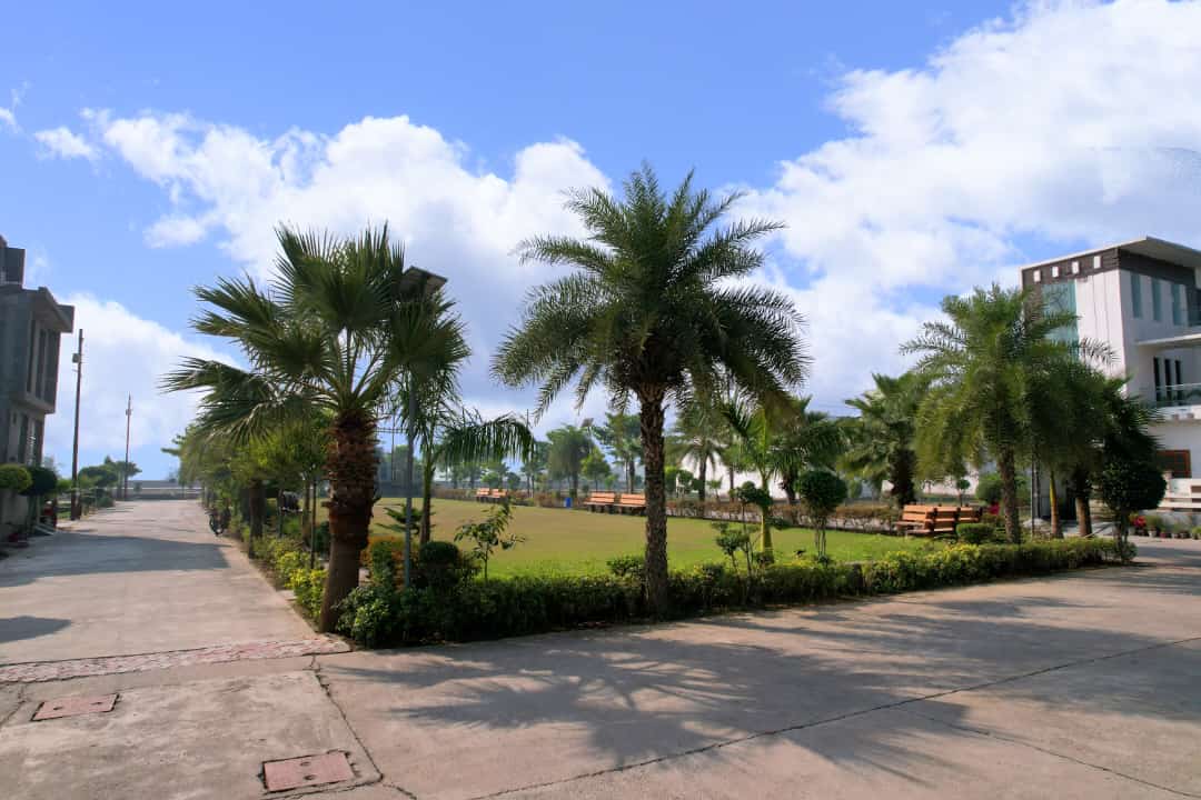 Plot For Resale in Jewar Greater Noida  7332963