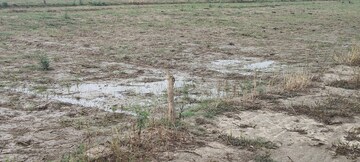 Plot Area in  Plot at Faizabad Road – for Sale
