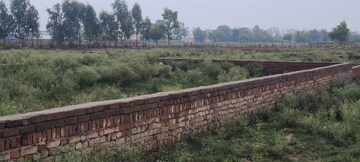 Plot Area in  Plot at Faizabad Road – for Sale