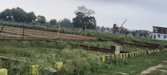 Plot For Resale in Faizabad Road Lucknow  7333670