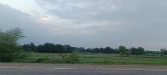 Commercial Land 3900 Sq.Ft. For Resale in Padra Road Rewa  7333745