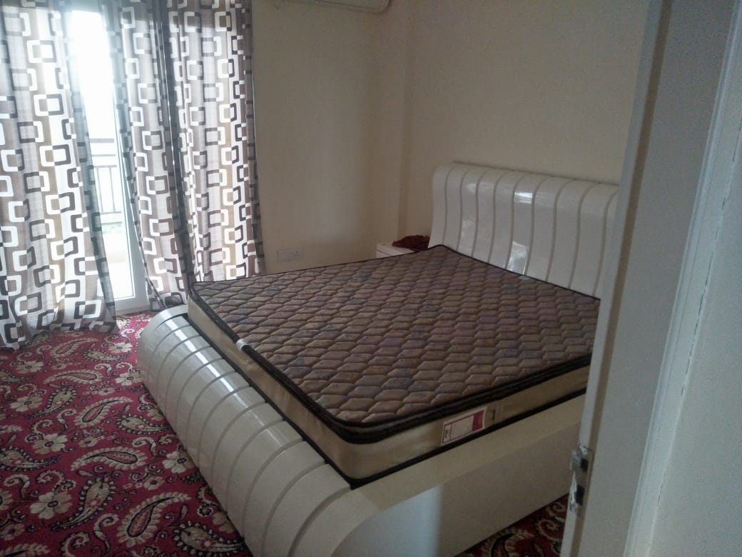 3 BHK Apartment For Rent in Alliance The Eminence Singhpura Zirakpur  7334279