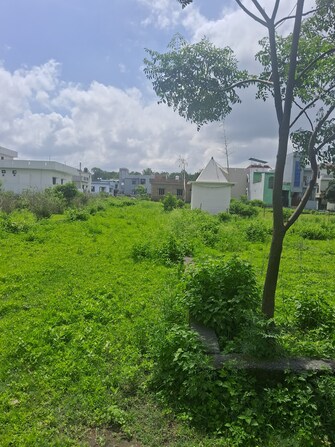 Plot For Resale in Kamaluwa Ganja Narsingh Haldwani  7334488