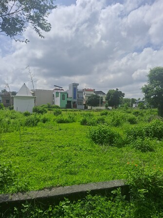 Plot For Resale in Kamaluwa Ganja Narsingh Haldwani  7334488