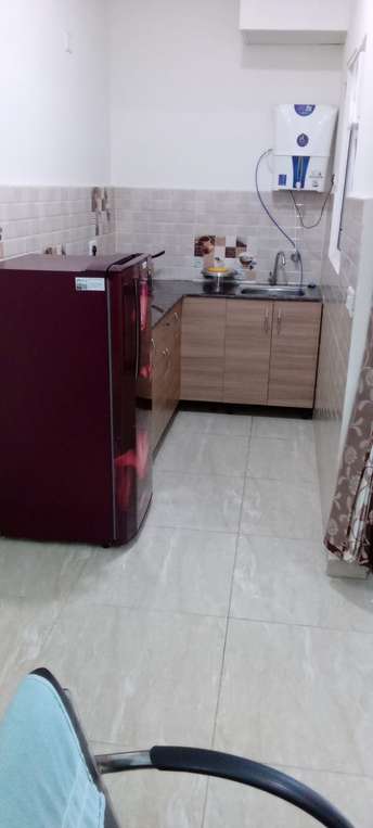 1 BHK Apartment For Rent in Gaur City 2 - 14th Avenue Noida Ext Sector 16c Greater Noida  7334867